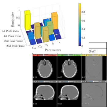 Biomedical data, image and signals processing