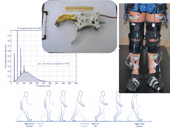 Biomedical signals processing and rehabilitation